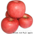 Apple (Fresh red FUJI Apple)